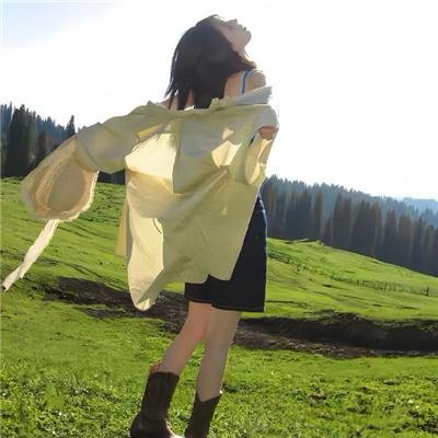 见龙卸甲
